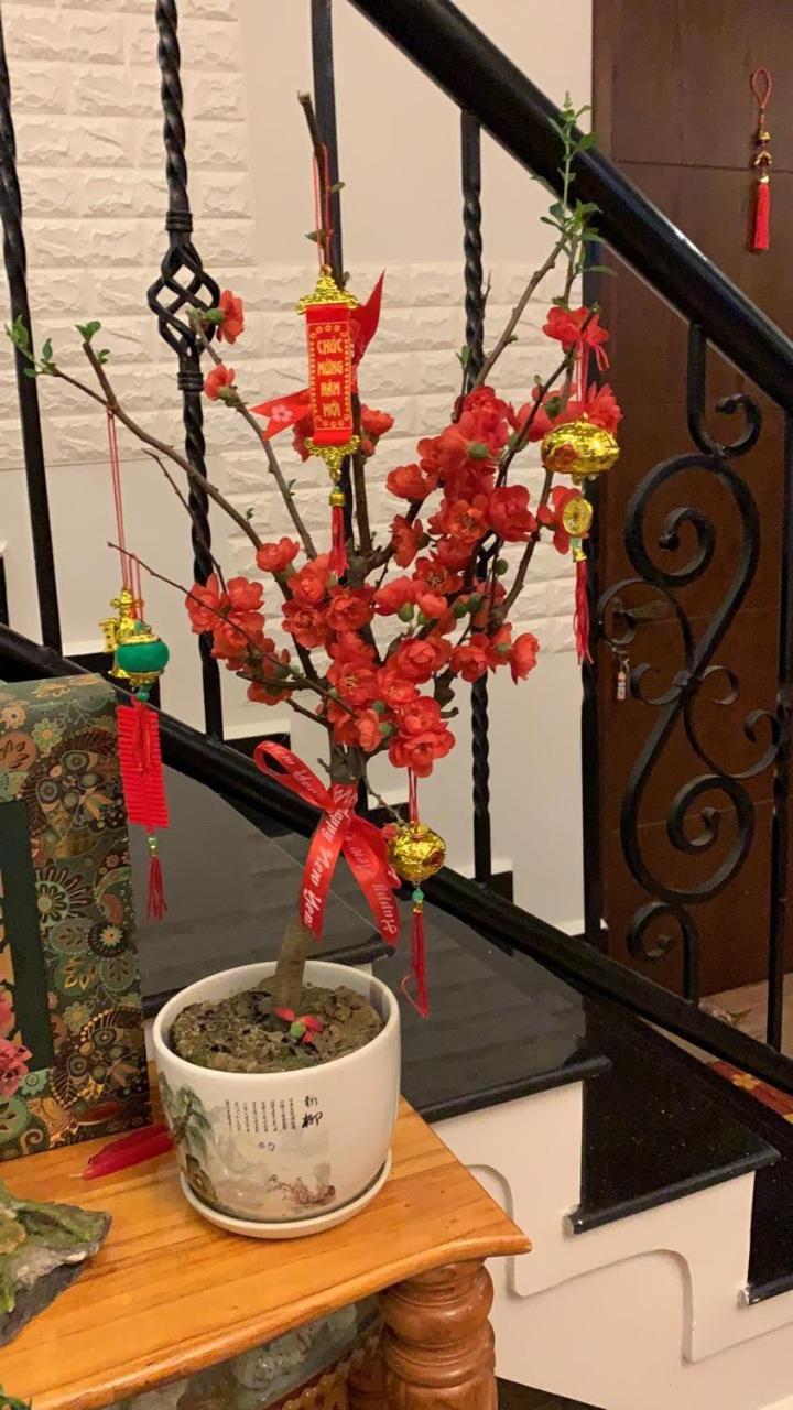 De Daisy Villa Homestay دالات المظهر الخارجي الصورة