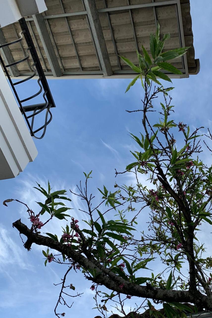 De Daisy Villa Homestay دالات المظهر الخارجي الصورة